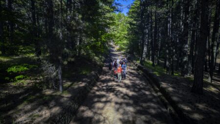 Etna Morning Tour