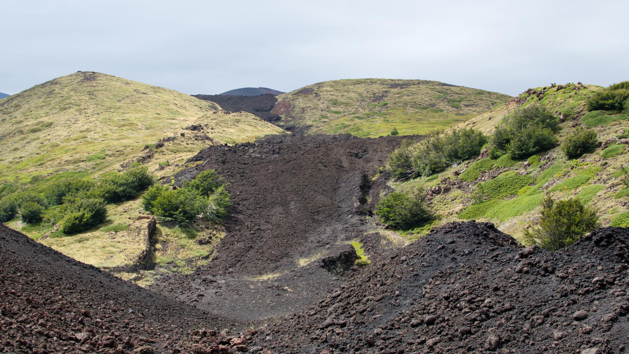 How to navigate the forests of Mount Etna